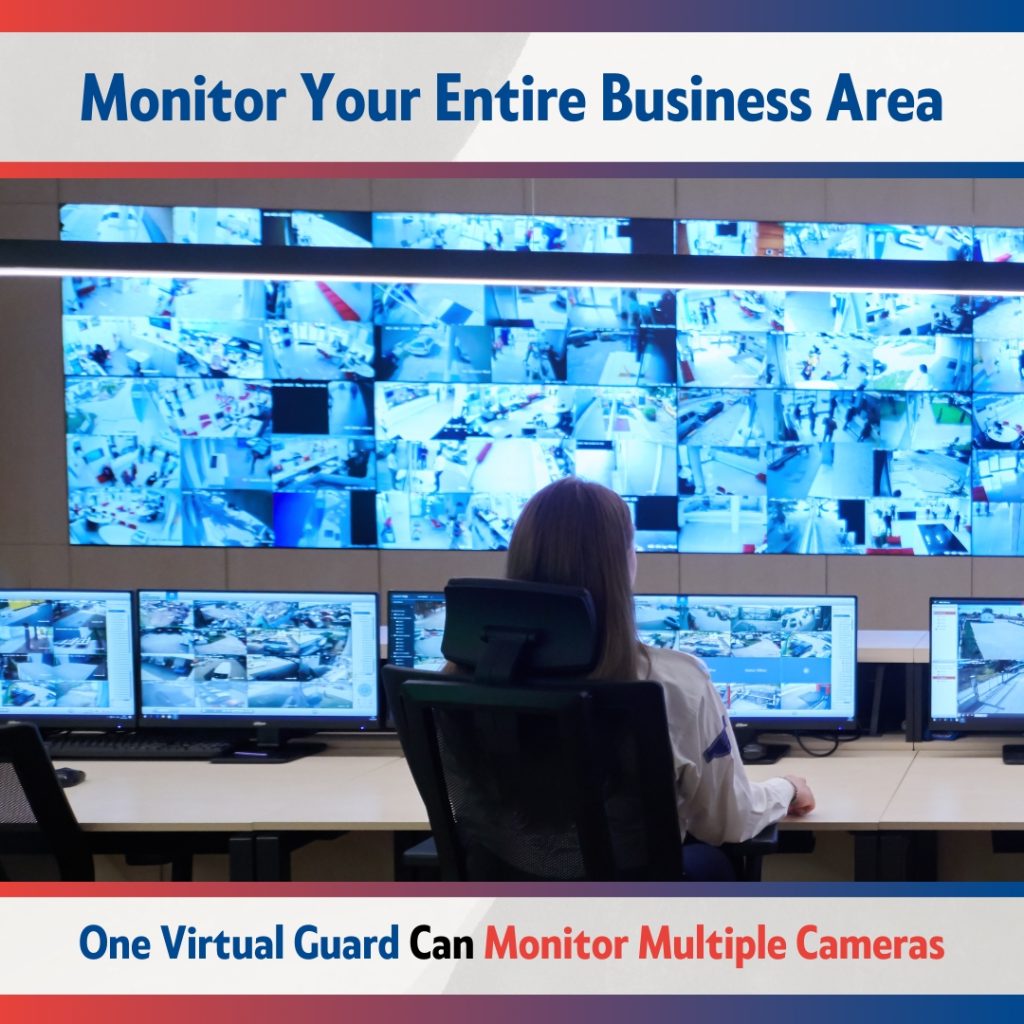 Remote CCTV monitoring services